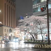  雨の夜，名古屋駅近辺