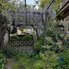 ４．２４（金・晴れ）コロナは人を選ばない。岡江さんご冥福。