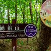 阿知セブンサミット：網掛山は短くとも登りごたえのある山