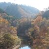 胎内川ダム・奥胎内へ紅葉ドライブ