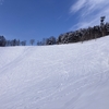 パワースポット「藻岩山」
