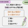 【体験談あり】『松風』おすすめ入門書：京都嵐山観光(紫式部と源氏物語)