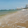【バンコクからパタヤ旅③】乾季のパタヤビーチは海日和🌊ホテル『マイク ビーチ リゾート 』