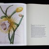 『The Book of Flowers 』を購入！