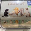 【ガチャ活】【にゃわとび タカラトミー 全5種 300円】一気に5回ガチャガチャか？自制して2回にしました