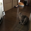 暗い一日の記録