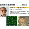 号外【珍事！故人にノーベル賞授与？？】樹状細胞発見のラルフ・スタインマン