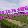 2023,12,16 土曜日 トラックバイアス予想 (中山競馬場、阪神競馬場、中京競馬場)