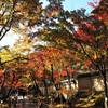 【期間限定】嵐山紅葉名所の宝厳院！秋の特別拝観は12月11日まで（見どころと紅葉の状況）
