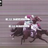 【ジャパンC2024】同着2着シンエンペラーの勝負根性見せる