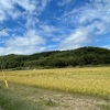 【週末お出かけ記】北海道で稲刈り体験【20230909】