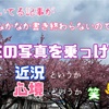 春はほんとうにお別れの季節だった（2025年）