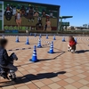 エコポニーなどで結構遊べる！中山競馬場で子供も放牧？
