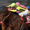 競馬初心者必見☆馬券予想🔥〜報知杯フィリーズレビュー〜購入馬券大公開㊙︎