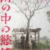 雨の中の慾情