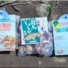 今週の園芸？