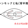 ハンモック泊するならマジで蚊に気をつけよう