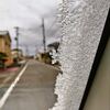 まだ寒いですが、