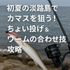初夏の淡路島でカマスを狙う！ちょい投げ＆ワームの合わせ技攻略
