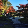 松島の円通院の紅葉