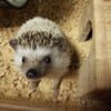 今週頑張れば5連休だZo★