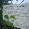 清瀬下宿ビオトープ公園（東京都清瀬市）