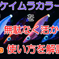 エギを解説 夜光と490glowの効果と使いどころを徹底解剖 出番は夜だけじゃない 神戸 明石のファミリーフィッシング奮闘記 関西の釣りをもっと手軽に楽しむ