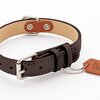 愛犬の安全とオシャレを両立！ペティオ プレーン平首輪で始める快適お散歩ライフ