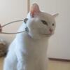 たまらんたまらん