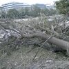 台風２１号の爪痕　鴨川