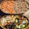 No.303ニ色弁当