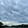 病理診断科に新人がきた