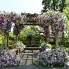 花のイベント「恋する庭園」二の丸庭園