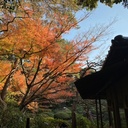 naodokのブログ