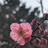 覚醒