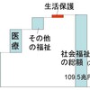 生活保護以外、すべての福祉を廃止したらどう？