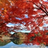 紅葉や秋の花が楽しめる♪ 福島県の「秋にも行きたい桜スポット」7選