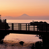 神奈川県の海岸、城ヶ島から見る夕暮れ時の富士山は美しいです。そして猫も！