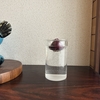 ヒアシンスの水栽培はじめました