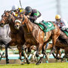 競馬初心者必見☆馬券予想🔥〜ダービー卿チャレンジT〜上位拮抗！！血統的に狙いたい馬も？