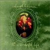 ４．Sparklehorse/It's a Wonderful Life