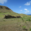 イースター島・タヒチの旅 　　イースター島　　　ラノ・ララク