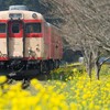 キハ28-2346の修繕。夢の「鉄道パーク」建設への第一歩を共に。クラウドファンディング実施中です。3月29日まで開催しております。
