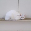 小っちゃい怪獣 2022.06.29