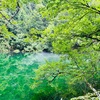 津南　龍神伝説を訪ねて