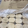 ★「コロッケ」★