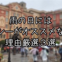 雨女が教える 雨ディズニーの楽しみ方 東京ディズニーシー編 究極雨女ほのぷーのディズニー放浪記