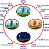 circadian rhythm