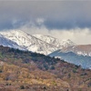 小雪　探訪