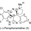 トロスト先生の全合成 / Total synthesis report from B.M.Trost's lab.